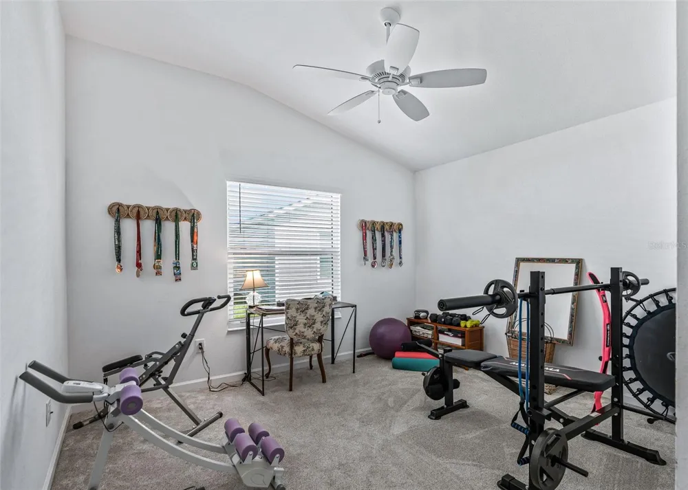 3250 SHERFINSKI AVENUE The Villages, FL 32163