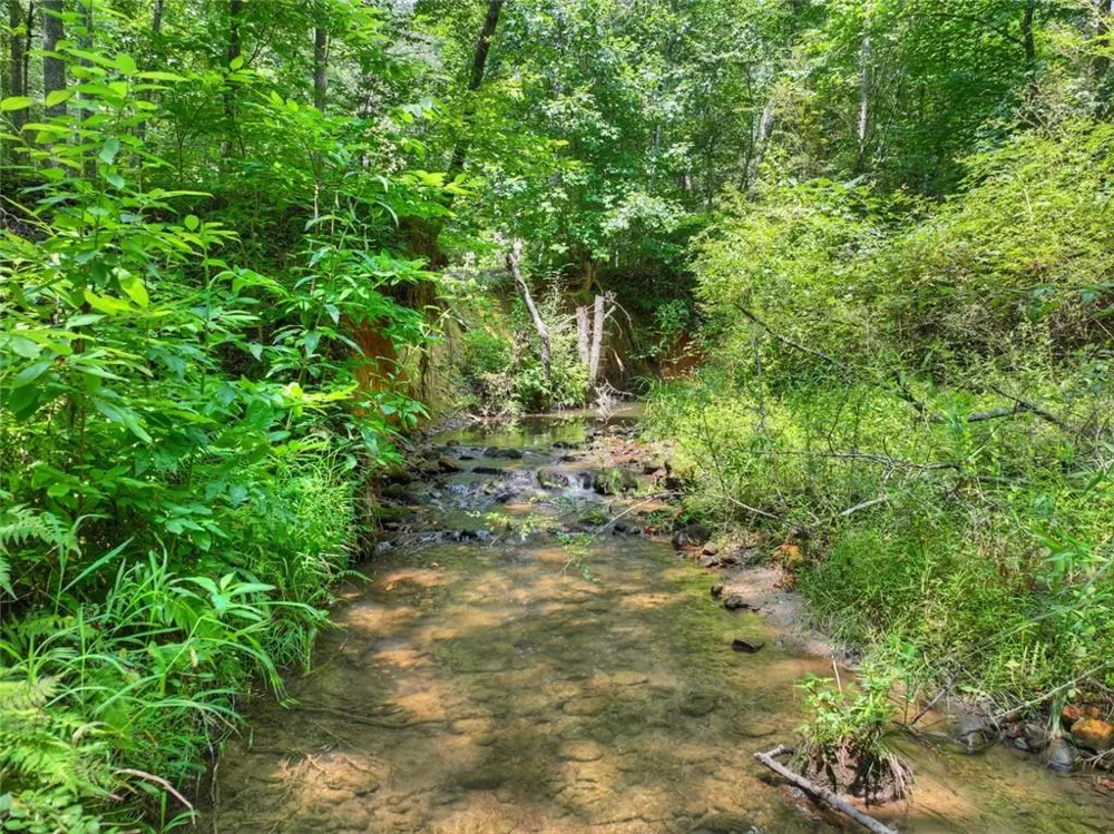 100 Wing Circle Ellijay, GA 30536