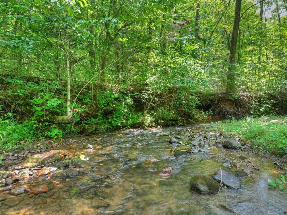 100 Wing Circle Ellijay, GA 30536