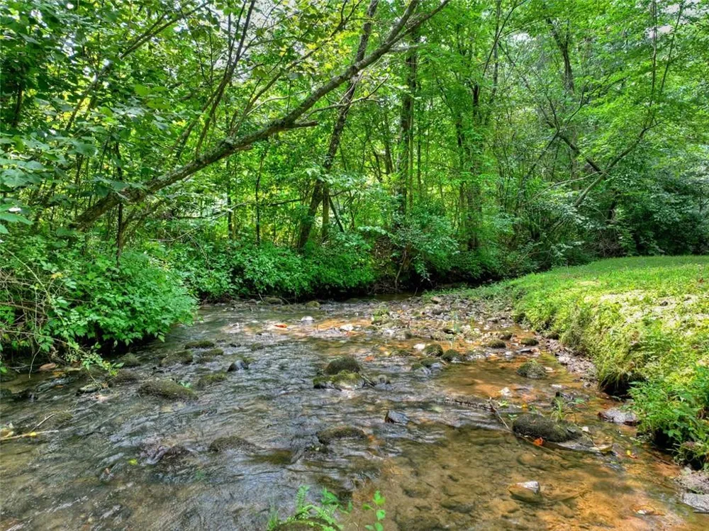 100 Wing Circle Ellijay, GA 30536