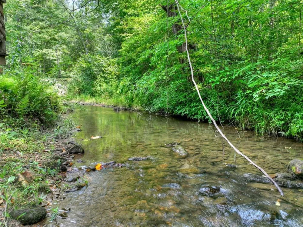 100 Wing Circle Ellijay, GA 30536