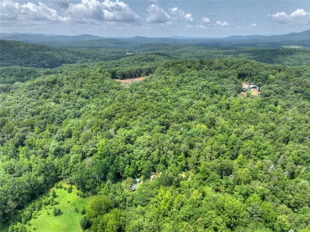 100 Wing Circle Ellijay, GA 30536