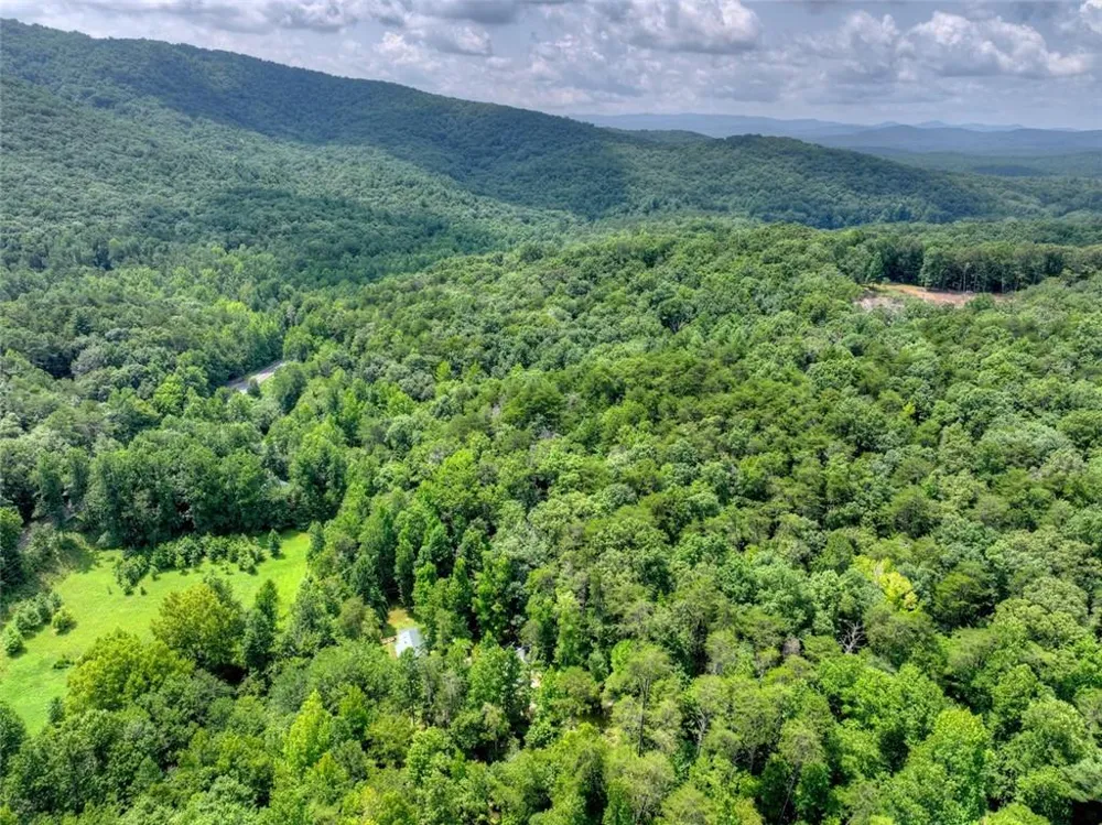 100 Wing Circle Ellijay, GA 30536