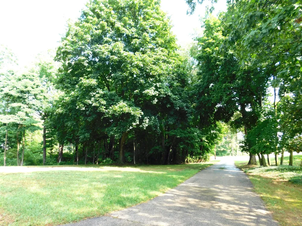 1538 W 32nd Street Laketown Township, MI 49423