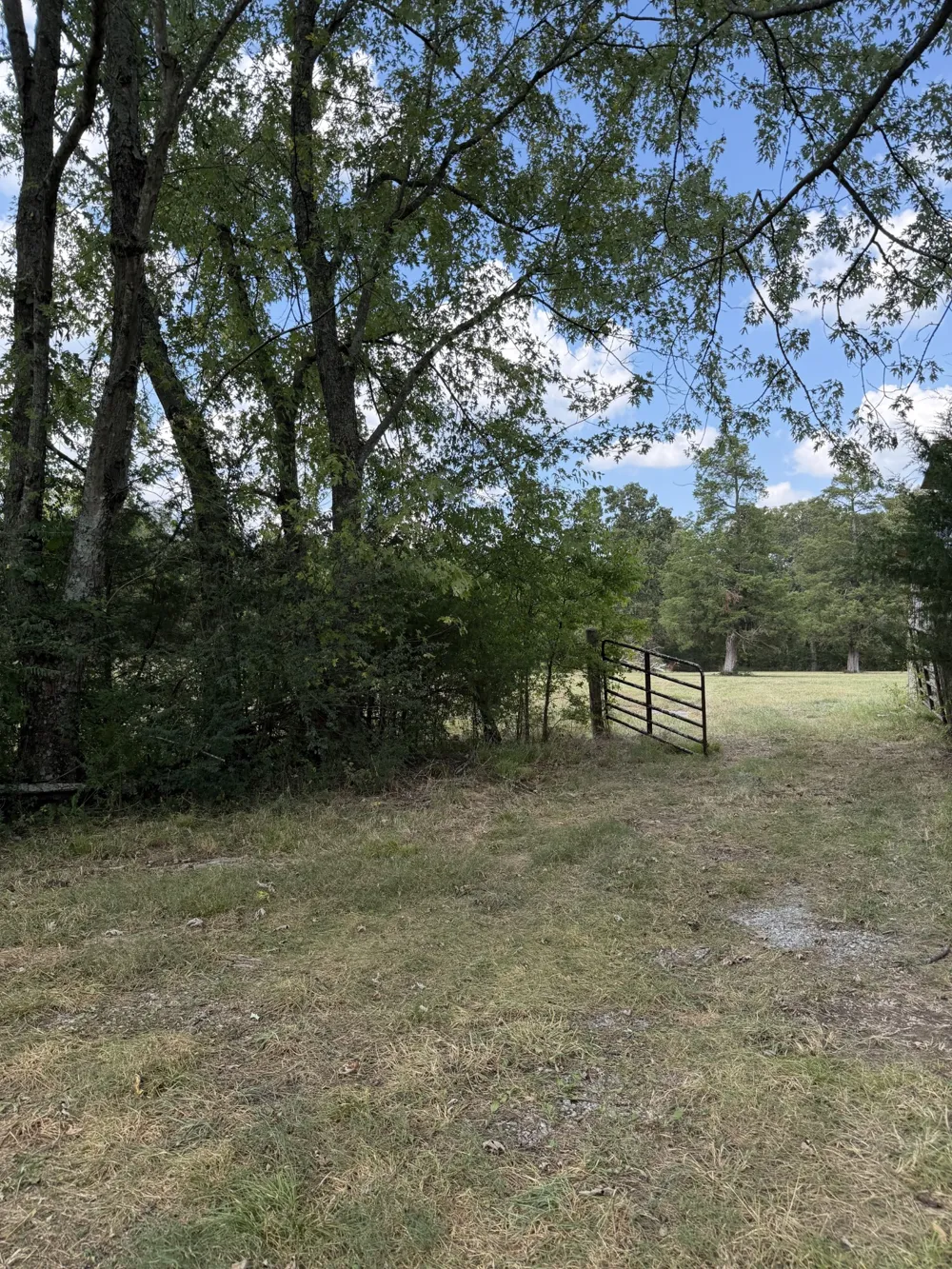 0 Midland Fosterville Rd Bell Buckle, TN 37020