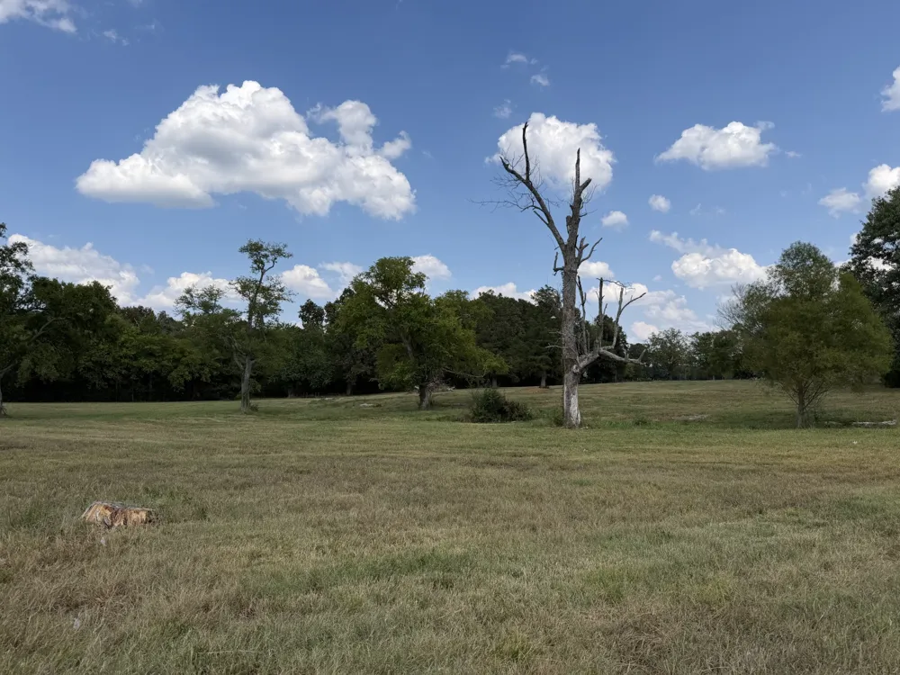 0 Midland Fosterville Rd Bell Buckle, TN 37020