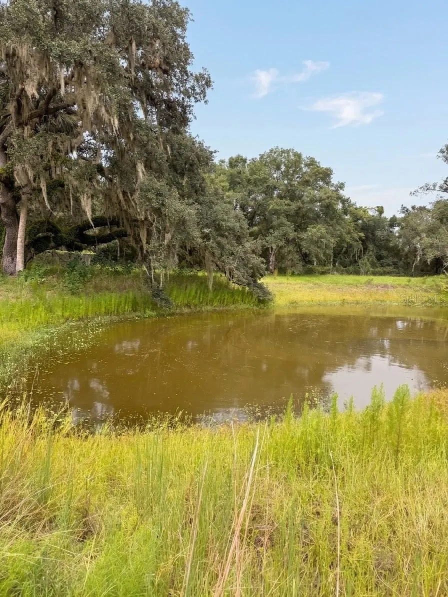 3030 SE HIGHWAY 31 Arcadia, FL 34266