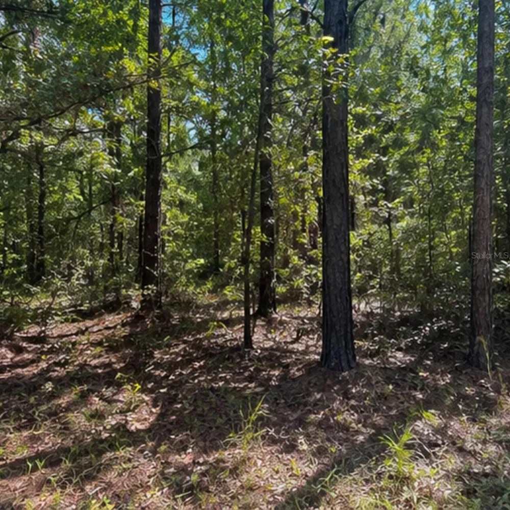 ROCHELLE LANE Crestview, FL 32539