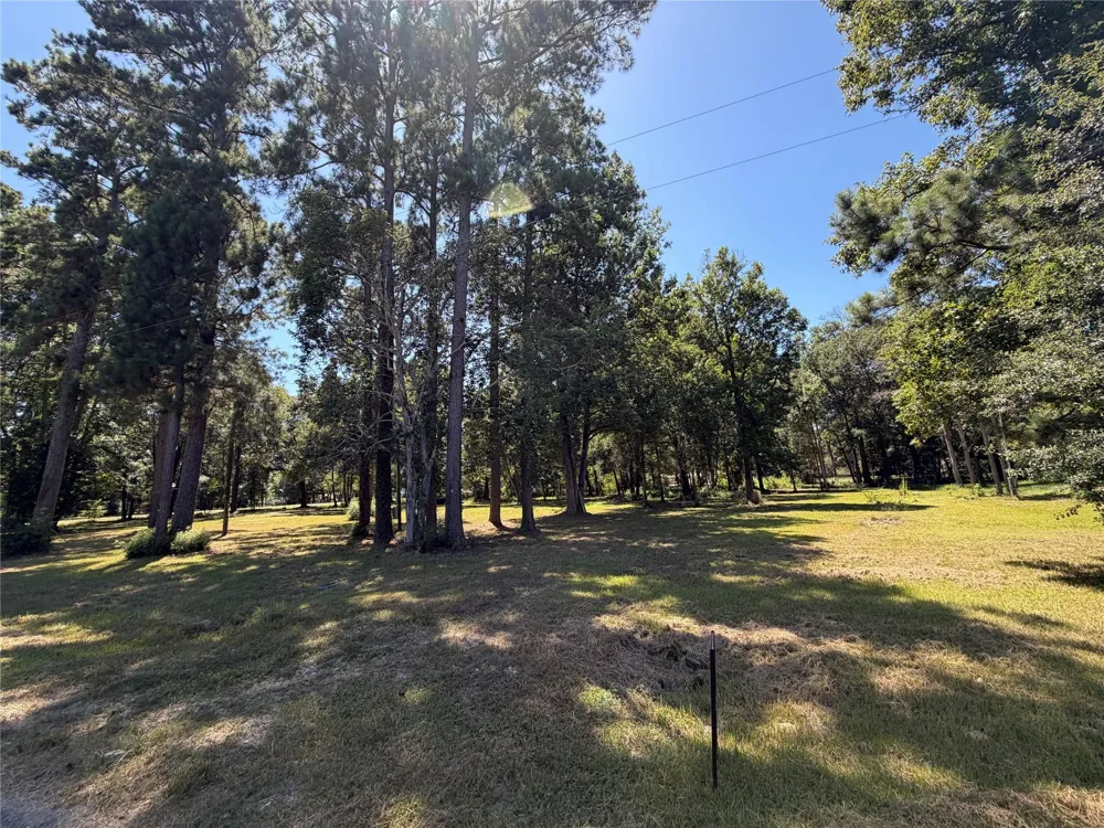 140 Pine Burr Court Cleveland, TX 77327