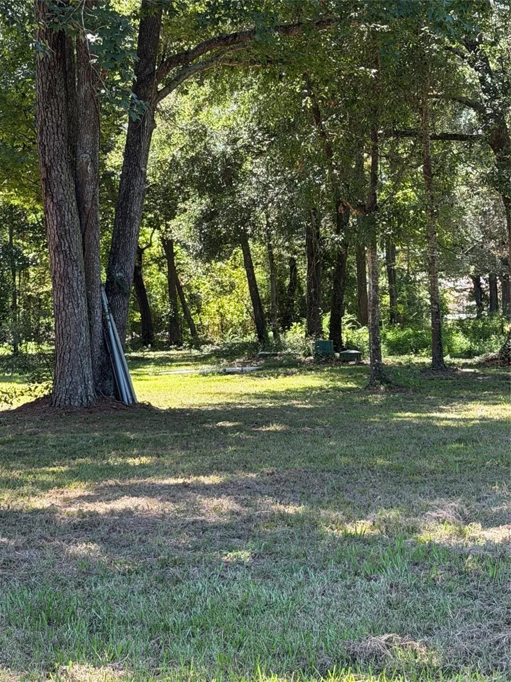140 Pine Burr Court Cleveland, TX 77327