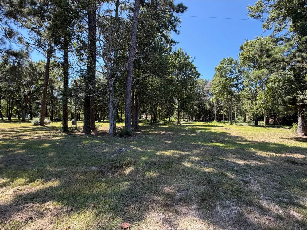 140 Pine Burr Court Cleveland, TX 77327