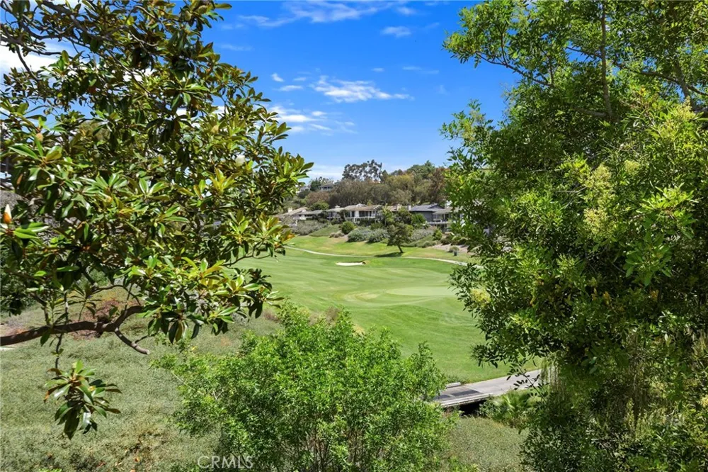 32136 Links Pointe Laguna Niguel, CA 92677