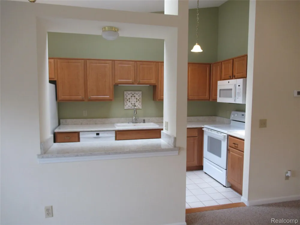 62341 Arlington Circle #3 South Lyon City, MI 48178
