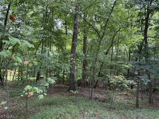 760 Bundaberg Lane Rural Hall, NC 27045