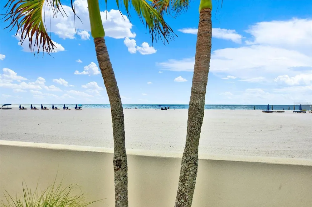 18450 GULF BOULEVARD #213 Indian Shores, FL 33785