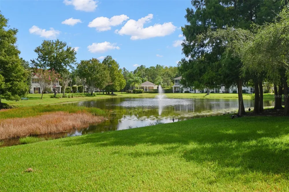 14020 WATERVILLE CIRCLE Tampa, FL 33626