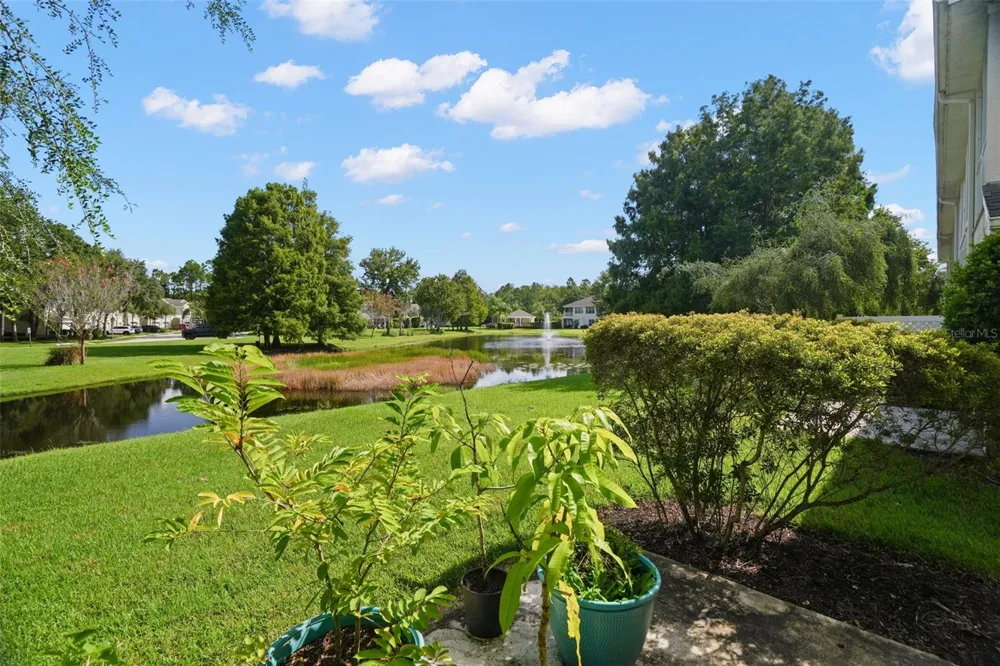 14020 WATERVILLE CIRCLE Tampa, FL 33626