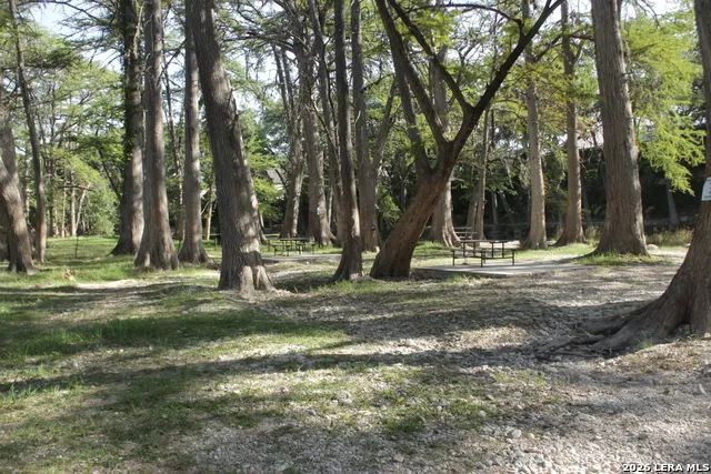 488 Rivertree Rd Leakey, TX 78873