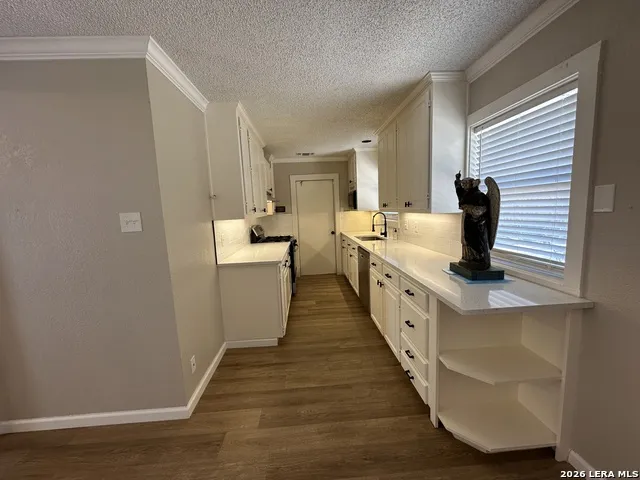 1023 MOREY PEAK DR San Antonio, TX 78213