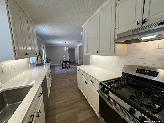 1023 MOREY PEAK DR San Antonio, TX 78213