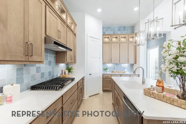 132 Rainwater Creek Boerne, TX 78006
