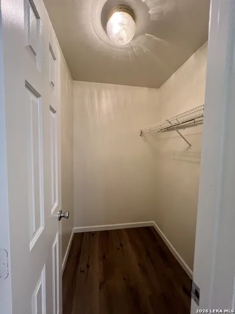 4039 Angel Trumpet San Antonio, TX 78259