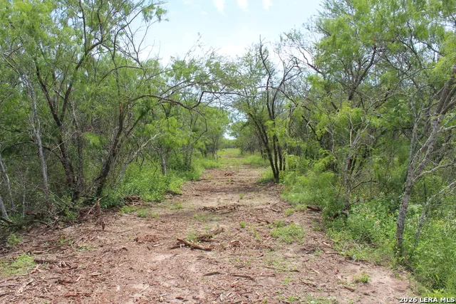 TBD TRACT 3 Pierce Rd Goliad, TX 77963