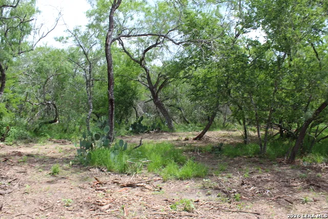 TBD TRACT 3 Pierce Rd Goliad, TX 77963
