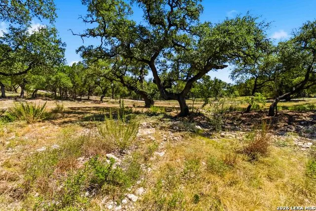 32870 STAHL LN Bulverde, TX 78163