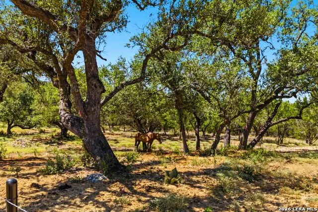 32870 STAHL LN Bulverde, TX 78163