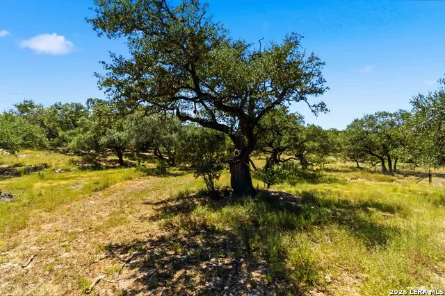 32870 STAHL LN Bulverde, TX 78163