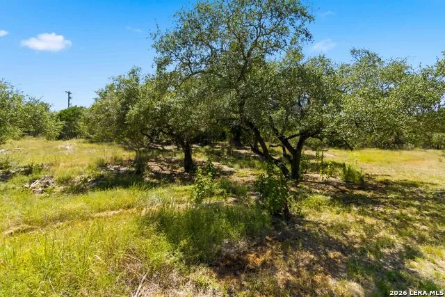 32870 STAHL LN Bulverde, TX 78163