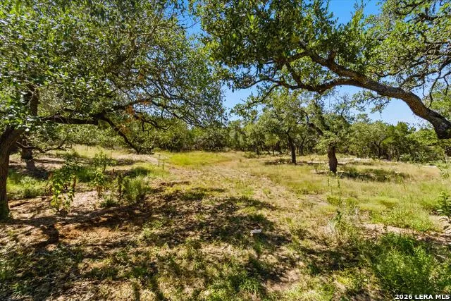 32870 STAHL LN Bulverde, TX 78163