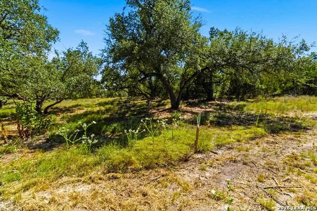 32870 STAHL LN Bulverde, TX 78163