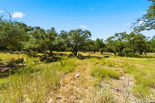 32870 STAHL LN Bulverde, TX 78163