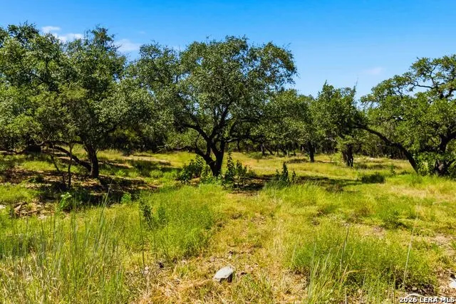 32870 STAHL LN Bulverde, TX 78163