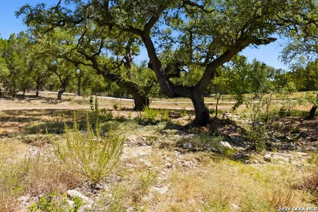 32870 STAHL LN Bulverde, TX 78163
