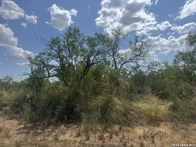 000 Ave. O Christine, TX 78012