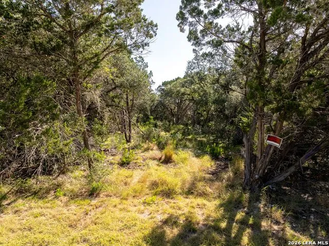 0 Cedar Run Pipe Creek, TX 78063