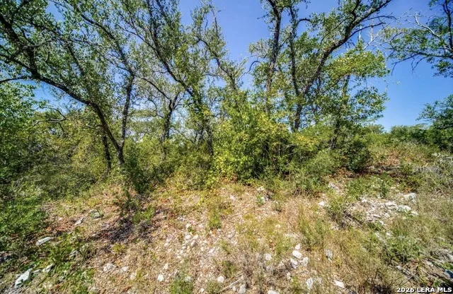 10026 IVORY CYN San Antonio, TX 78255