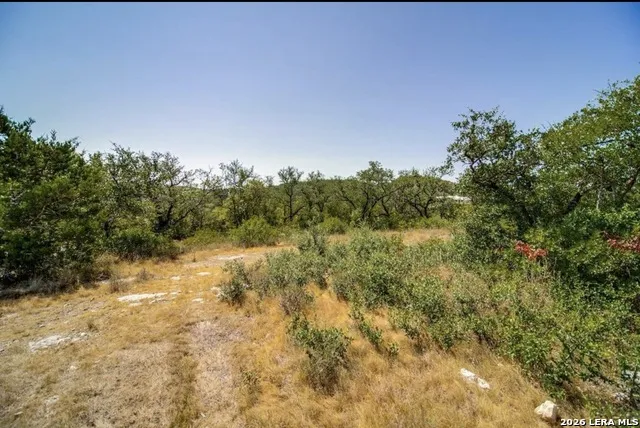 10026 IVORY CYN San Antonio, TX 78255