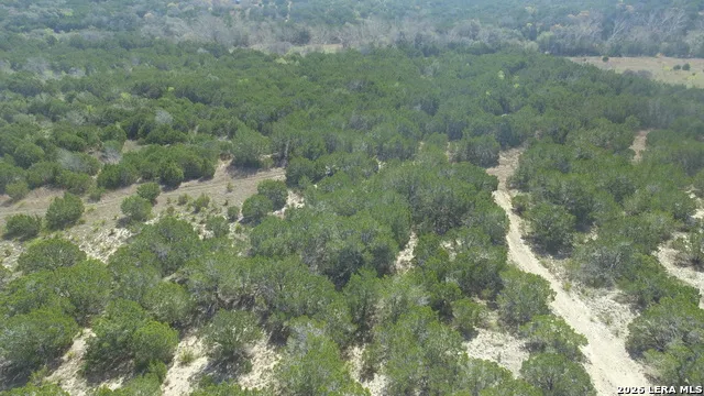 100 Manana Blanco, TX 78606