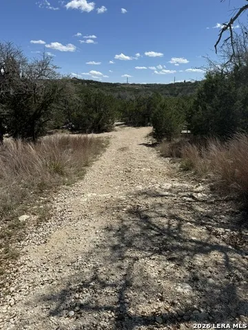 100 Manana Blanco, TX 78606