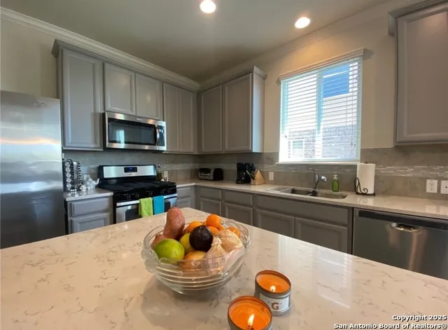 212 LYRE LEAF DR Buda, TX 78610