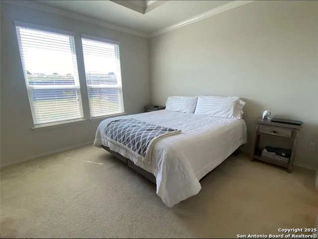 212 LYRE LEAF DR Buda, TX 78610