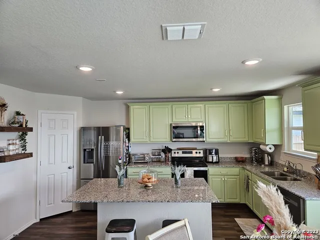 535 Wild Olive Way San Antonio, TX 78219