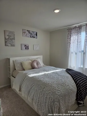 535 Wild Olive Way San Antonio, TX 78219