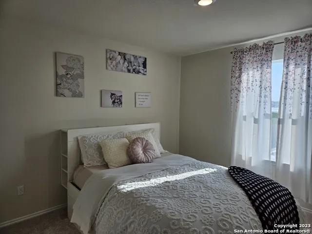 535 Wild Olive Way San Antonio, TX 78219