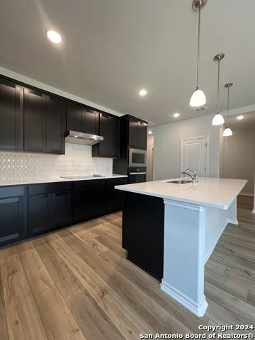 14622 Flatiron Cliff San Antonio, TX 78253