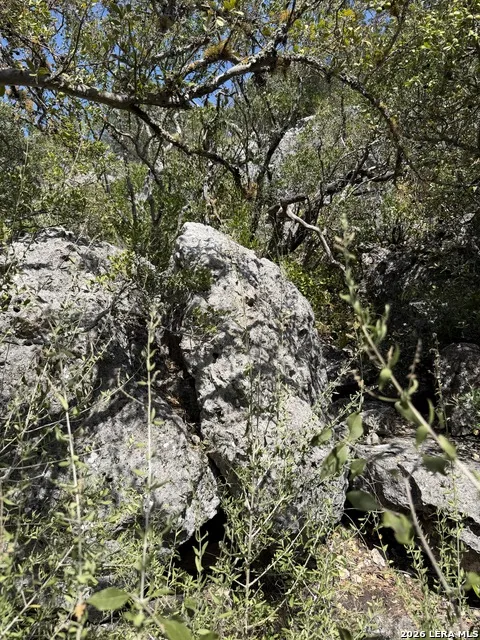 267 Sd 46066 Rocksprings, TX 78880